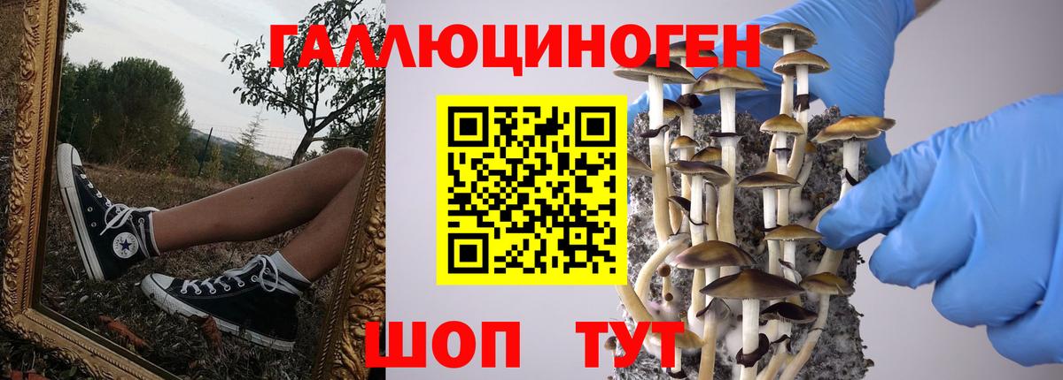 ТГК  Вход с VPN  МДМА  ГАШ  Меф МЯУ МЯУ   Волоколамск  Канабис 