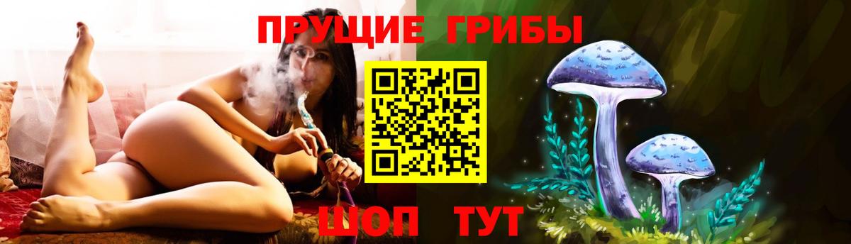 Псилоцибиновые грибы GOLDEN TEACHER Волоколамск